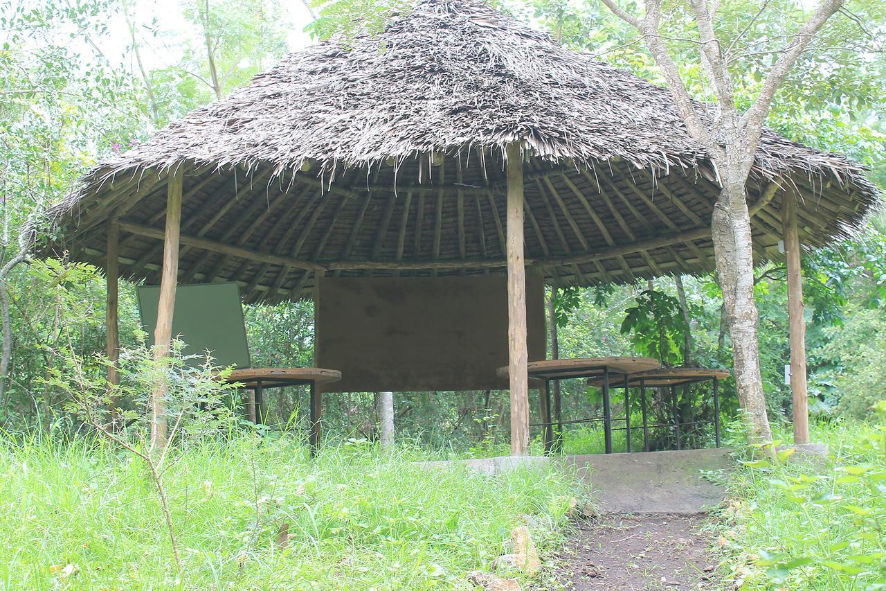 Shamba Hostel Usa River Exterior foto