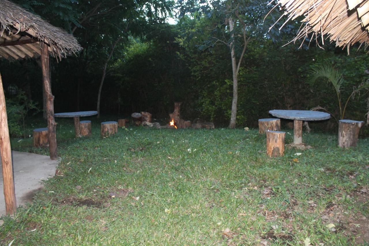 Shamba Hostel Usa River Exterior foto
